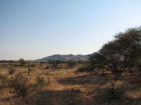 /international/2006Walvisbay/images/Okapuka/thumbnails/okapuka 058.jpg
